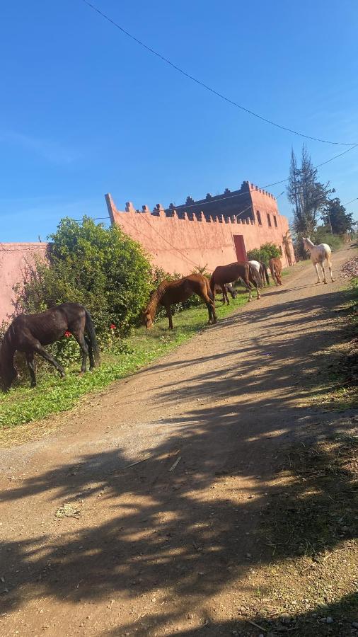 Gite Touristique Yassmine Madagh Luaran gambar